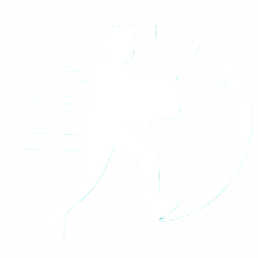 SO Muuttopalvelut logo